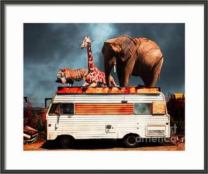 Buy Art and Photography Prints and Posters Online transportation,vehicle,vehicles,trailer,trailers,trailer park,rv,recreational vehicle,camping,trash,redneck,barnum and bailey,ringling brothers,circus,satire,nostalgia,nostalgic,elephant,elephants,old,jalopy,retro,kitsch,kitschy,whimsical,whimsy,surreal,surrealism,fantasy,fun,funny,happy,humor,humorous,color,colorful,vacation,route 66,road trip,roadtrip,usa,america,americana,zoo,animal,backroad,backroads,tiger,cat,giraffe,giraffes,pig,chicken,rooster,contemporary,modern,wing tong,wingsdomain