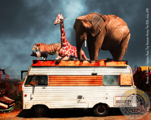 transportation, vehicle, vehicles, trailer, trailers, trailer park, rv, recreational vehicle, camping, trash, redneck, barnum and bailey, ringling brothers, circus, satire, nostalgia, nostalgic, elephant, elephants, old, jalopy, retro, kitsch, kitschy, whimsical, whimsy, surreal, surrealism, fantasy, fun, funny, happy, humor, humorous, color, colorful, vacation, route 66, road trip, roadtrip, usa, america, americana, zoo, animal, backroad, backroads, tiger, cat, giraffe, giraffes, pig, chicken, rooster, contemporary, modern, wing tong, wingsdomain