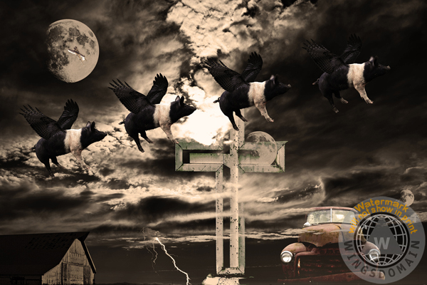 buy canvas prints buy framed prints buy metal prints buy posters by Wingsdomain transportation, surreal, surrealism, dadaism, dali, dada, abstract, dream, dreamy, dreams, animal, animals, pig, pigs, flying pig, flying pigs, pig flying, pigs flying, when pigs fly, piglet, piglets, farm animal, farm animals, moon, moons, halloween, airplane, airplanes, barns, lightning, cross, holy cross, religion, religious, sky, skies, cloud, clouds, jalopy, truck, trucks, old truck, old trucks, sepia, sepia photos, black and white, black and white photography, armageddon, apocalypse, end times, americana, nostalgia, wing tong, wingsdomain