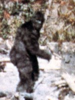 bigfoot