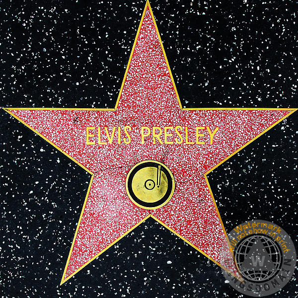 elvis presley,elvis,rock and roll,music,musician,musicians,singer,singers,walk of fame,fame,famous,famous people,hollywood walk of fame,hollywood,hollywood boulevard,boulevard,blvd,tcl chinese theatre,graumans chinese theatre,tcl,grumans,chinese theatre,dolby,theatre,theater,movie,movies,film,films,cinema,movie star,movie stars,celebrity,celebrities,star,stars,entertainment,la,los angeles,california,ca,southern,icon,icons,iconic,star,stars,square,size,sizes,60s,sixties,wing tong,wingsdomain