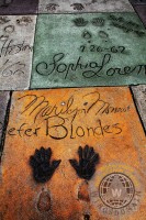 marilyn monroe,marilyn,actress,actresses,actor,actors,sex,sexy,female,blonde,blondes,walk of fame,fame,famous,famous people,hollywood walk of fame,hollywood,hollywood boulevard,boulevard,blvd,tcl chinese theatre,graumans chinese theatre,tcl,grumans,chinese theatre,dolby,theatre,theater,movie,movies,film,films,cinema,movie star,movie stars,celebrity,celebrities,star,stars,entertainment,la,los angeles,california,ca,southern california,west coast,icon,icons,iconic,star,stars,wing tong,wingsdomain
