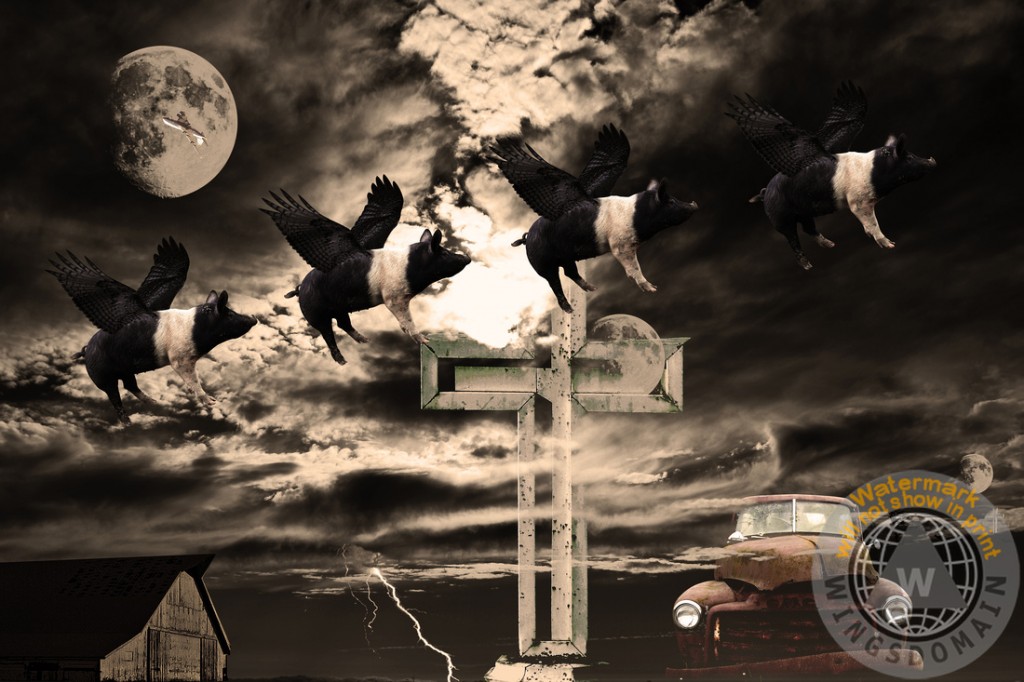transportation, surreal, surrealism, dadaism, dali, dada, abstract, dream, dreamy, dreams, animal, animals, pig, pigs, flying pig, flying pigs, pig flying, pigs flying, when pigs fly, piglet, piglets, farm animal, farm animals, moon, moons, halloween, airplane, airplanes, barns, lightning, cross, holy cross, religion, religious, sky, skies, cloud, clouds, jalopy, truck, trucks, old truck, old trucks, sepia, sepia photos, black and white, black and white photography, armageddon, apocalypse, end times, americana, nostalgia, wing tong, wingsdomain