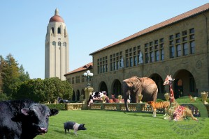 "Life Down On The Farm Under The Moon Stanford University Califo