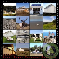pt reyes,point reyes,national,seashore,bay,bays,pacific,ocean,sea,california,tomales bay,inverness,bay area,bayarea,coast,west coast,tule elk,tule elks,elk,elks,deer,animal,animals,wildlife,and,the,nature,landscape,landscapes,hill,hills,hilly,historic d ranch,pierce point ranch,ranch,boat,boat wreck,shipwreck,drakes bay oyster farm,shack,beach,beaches,lighthouse,visitors center,park,parks,backroad,countryside,outdoor,historic,historical,square,size,sizes,text,word,words,wing tong,wingsdomain