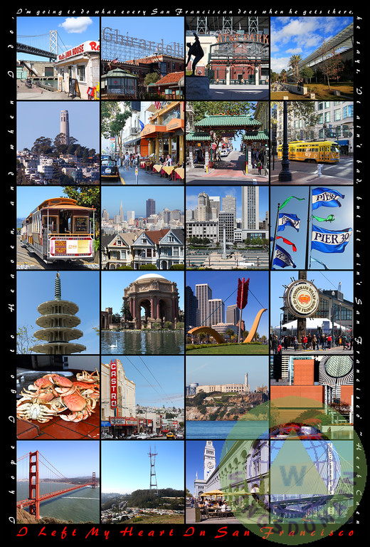 san francisco,sf,california,ca,bayarea,bay area,fishermans wharf,bay bridge,golden gate bridge,ghirardelli,at&t park,giants,baseball,stadium,dungeness,crab,academy of science,coit tower,north beach,chinatown,streetcar,street car,transamerica tower,cablecar,cable car,alamo square,houses,union square,pier 39,twin peaks,japantown,palace of fine arts,ferry building,castro district,alcatraz,museum of modern art,sfmoma,history,tourist,vacation,square,text,word,words,wing tong,chee,wingsdomain