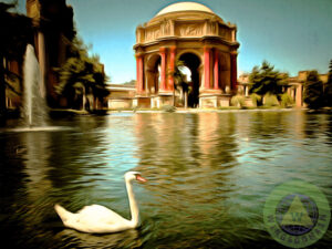 san francisco,sf,sanfrancisco,california,ca,bay area,bayarea,palace of fine art,palace of fine arts,museum,museums,classical,architecture,classical architecture,arch,arches,column,columns,dome,domes,ruins,bernard maybeck,exploritorium,1915,worlds fair,world's fair,panama-pacific exposition,panama,pacific,exposition,expo,fair,old,classic,vintage,calm,peaceful,zen,relaxing,pond,ponds,lake,lakes,garden,gardens,bird,birds,swan,swans,avian,romance,romantic,fountain,brunaille,wing tong,wingsdomain