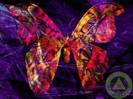 butterfly,butterflies,butter fly,butter,fly,flies,moth,moths,bug,bugs,insect,insects,anthropod,anthropods,entomology,entomologies,entomologist,entomologists,tropical,tropical bug,tropical bugs,tropical forest,tropical forests,amazon,amazonian,africa,pest,pests,animal,animals,nature,natural,wildlife,macro,macros,macro photography,pretty,color,colorful,beautiful,bright,contemporary,contemporary art,abstract art,abstract,and,the,those,wing tong,wing chee tong,wingsdomain