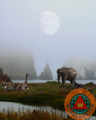 art, artwork, buy photos, buy posters, buy prints, editing photos, elephant, elephants, fantasy, fantasy art, fine art, fineartamerica, flower, flowers, gorilla, gorillas, image, images, images for sale, landscape, landscapes, lion, lions, menagerie, mystic, mysticism, nature, photo, photo editing, photograph, photographs, photography, photos, post process, post processing, poster, posters, posters for sale, print, prints, prints for sale, surreal, surrealism, tiger, tigers, wildlife, wing tong, wingsdomain,how to