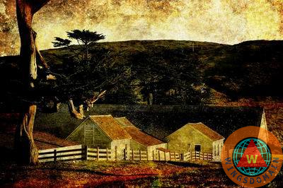 texture,textured photos,works of art