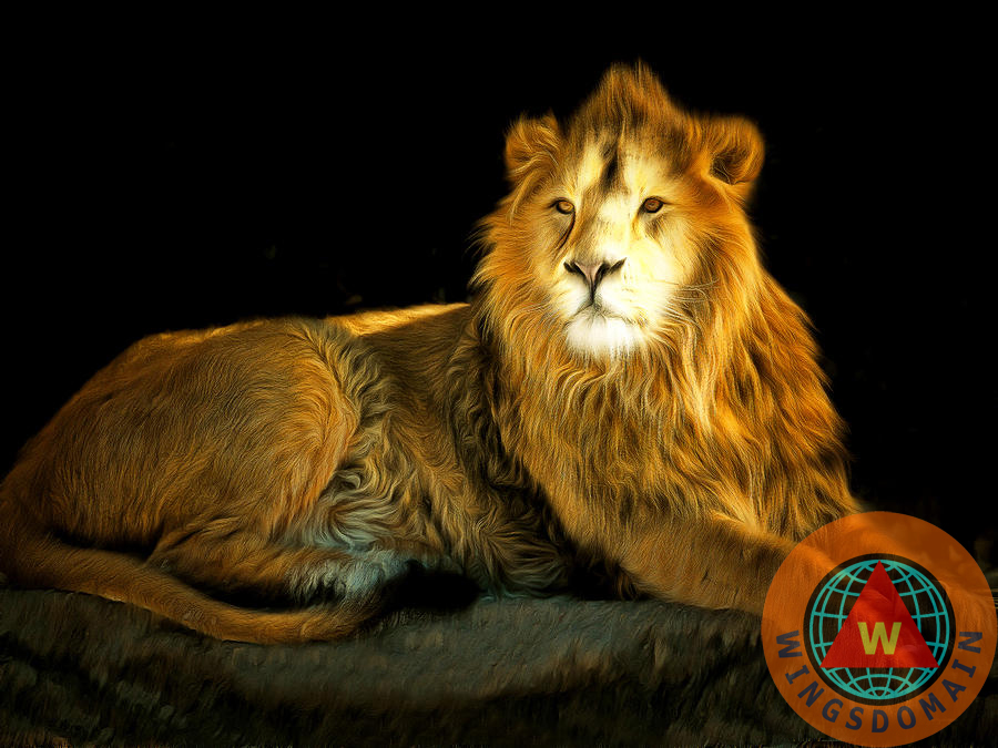 adorable, africa, african, amazon, animal, animals, bengal, bengal tiger, brunaille, cat, cats, cecil, cecil the lion, cincinnati, cincinnati bengal, cincinnati bengals, congo, conservationist, content, cute, den, dens, dentist, eye, eye of the tiger, eyes, happy, hwange national park, jungle, jungles, kill, killer, kitty, lion, lions, lions den, mammal, mammals, mammels, minnesota, nature, orange, outback, pussy, pussy cat, pussy cats, siberian tiger, siberian tigers, stripe, stripes, sumatra, sumatra tiger, sumatra tigers, sumatran tiger, sumatran tigers, tiger, tigers, walter palmer, wildlife, wing tong, wingsdomain, zimbabwe, zimbabwe lion, zoo, zoo animal, zoo animals, zoos