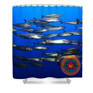 art, buy, buy art, buy photography, buy poster, Buy Prints, buy shower curtain, curtain, curtains, image, image license, image licensing, license, licensing, photo, photo license, photo licensing, photograph, photography, show curtains, shower, shower curtain, wing chee tong, wing tong, wingsdomain