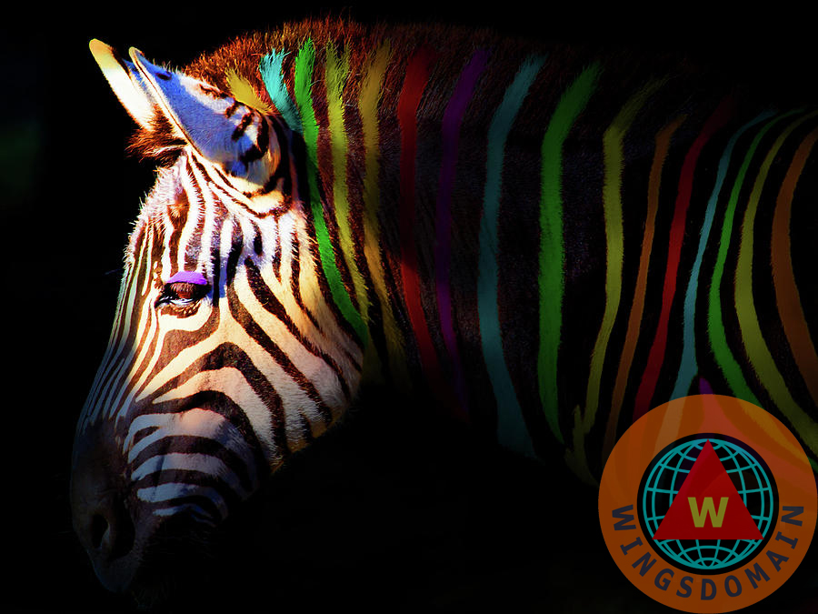 wingsdomain,zebra,zebras,horse,horses,stripe,stripes,striped,equestrian,equid,equids,color,colorful,pop,pop art,andy warhol,abstract,bright,cheerful,fun,happy,black,white,black and white,dream,fantasy,surreal,surrealism,salvador,dali,donkey,donkeys,animal,animals,nature,natural,outdoor,wildlife,africa,african,african safari,outback,out back,serengeti,tanzania,safari,zoo,zoos,zoo animal,zoo animals,stubb,harem,creature,creatures,mammal,mammals,pasture,pastures,tail,tails,the,and,wing tong