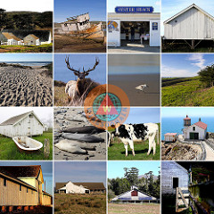 Point Reyes National Seashore