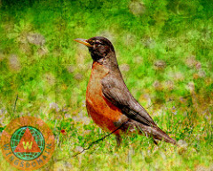 The Early Bird