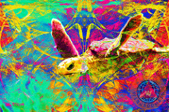 Sea Turtle In Abstract