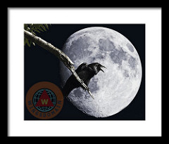 Raven Barking At The Moon