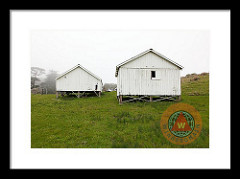The Old Pierce Point Ranch At Foggy Point Reyes California