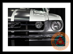 Ford Mustang Fastback