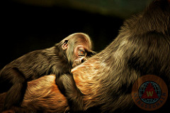 Mother And Child