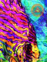 wingsdomain,abstract,contemporary,art,discus,fish,fishes,fishing,fishermen,fisherman,hawaii,bahamas,carribean,tropical,tropical fish,coral reef,coral,corals,coral reefs,reef,reefs,ocean,saltwater,salt water,salt,water,sea,pacific ocean,deep sea,sea creature,creature,snorkel,snorkeling,diving,scuba,scuba diving,animal,nature,wildlife,marine,marine life,color,colorful,monterey,bay,bays,california,west coast,coast,coastal,monterey bay aquarium,aquarium,aquariums,cannery row,wing chee tong,wing tong,buy,purchase,sell,for sale,prints,poster,posters,framed print,canvas print,metal print, fine art,wall art,wall decor,home decor,greeting card,print,art,photograph,photography,fineartamerica,fine art america,society6,society 6,imagekind,redbubble,zazzle