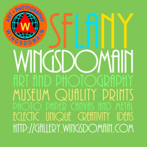 about, about wingsdomain.com, san francisco, bay area, bayarea, east bay, oakland, eastbay, art, art for sale, art prints, buy, Buy Canvas Prints, Buy Framed Prints, Buy Greeting Cards, Buy Metal Prints, Buy Posters, Buy Prints, Buy Standard Prints, canvas prints, Canvas Prints for sale, digital art, fine art, fine art prints, for sale, framed prints, Framed Prints for sale, giclee, giclee prints, greeting cards, Greeting Cards for sale, licensing, metal prints, Metal Prints for Sale, photography, posters, Posters for sale, prints, Prints for sale, sell, shop, Shop for Canvas Prints, Shop for Framed Prints, Shop for Greeting Cards, Shop for Metal Prints, Shop for Posters, Shop for Prints, Shop for Standard Prints, standard prints, Standard Prints for sale, phone case, throw pillow, duvet cover, shower curtain, tote bag, round beach towel, carry-all pouch, beach towel, weekender tote bag, portable battery charger, bath towel, apparel, tshirt, t-shirt, mugs, yoga mats, spiral notebooks, fleece blankets, tapestries