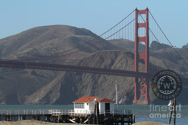 san francisco, sf, bayarea, bay area, bridge, bridges, golden gate bridge, san francisco golden gate bridge, fog, pier, beach, marin headlands, seagull, seagulls, crissy fields, fort point, ggbridge, wing tong, wingsdomain
