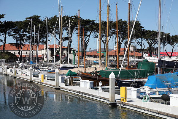 wingsdomain,san francisco,sf,sanfrancisco,bayarea,bay area,san francisco bay,bay,transportation,transportations,sail,sails,mast,boat,boats,sailboat,sailboats,sail boat,sail boats,usa,california,ca,marina green,marina,district,marina district,yacht,yachts,st francis yacht club,saint francis yacht club,st francis,saint francis,golden gate yacht club,yacht club,yacht clubs,golden gate,water,pacific ocean,sailing,boating,yachting,hill,hills,fun,sport,sports,outdoor,outdoors,white,wing tong
