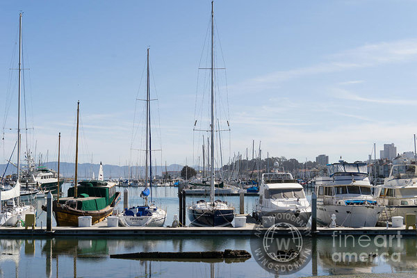 san francisco,sanfrancisco,frisco,bayarea,bay area,san francisco bay,bay,sfbayarea,transportation,sail,sails,boat,boats,sailboat,sailboats,sail boat,sail boats,catamaran,katamaran,usa,california,marina green,marina,district,marina district,yacht,yachts,pier,piers,dock,docks,harbor,harbors,golden gate yacht club,st francis yacht club,saint francis yacht club,yacht club,yacht clubs,club,clubs,golden gate,san francisco bay trail,wing tong,wing chee tong,wingsdomain
