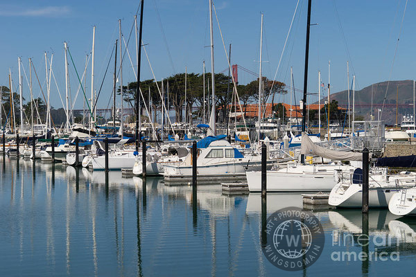 san francisco,sanfrancisco,frisco,bayarea,bay area,san francisco bay,bay,sfbayarea,transportation,sail,sails,boat,boats,sailboat,sailboats,sail boat,sail boats,catamaran,katamaran,usa,california,marina green,marina,district,marina district,yacht,yachts,pier,piers,dock,docks,harbor,harbors,golden gate yacht club,st francis yacht club,saint francis yacht club,yacht club,yacht clubs,club,clubs,golden gate,san francisco bay trail,wing tong,wing chee tong,wingsdomain