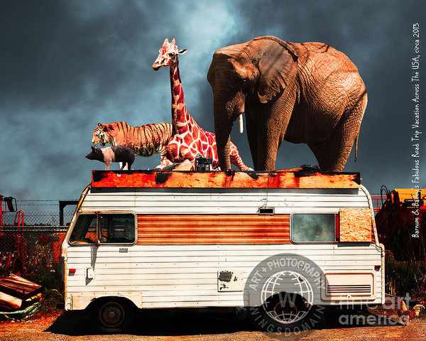 wingsdomain,transportation,winnebego,vehicle,vehicles,trailer,trailers,trailer park,rv,recreational vehicle,camping,trash,redneck,barnum and bailey,ringling brothers,circus,satire,nostalgia,nostalgic,elephant,elephants,old,jalopy,retro,kitsch,kitschy,whimsical,whimsy,surreal,surrealism,fantasy,fun,funny,happy,humor,humorous,color,colorful,vacation,route 66,road trip,roadtrip,usa,america,americana,zoo,animal,backroad,backroads,tiger,cat,giraffe,giraffes,pig,chicken,rooster,contemporary,wing tong