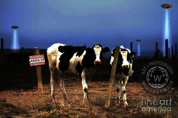 wingsdomain,area 51,area,51,storm area 51,roswell,new mexico,groom lake,research facility,rachel,nevada,alienstock,cow,cows,cattle,cattles,ranch,farm,rural,moon,moons,perigee moon,big moon,full moon,super full moon,alien,aliens,alien abduction,scifi,sci-fi,science fiction,surreal,surrealism,fantasy,animal,animals,mars,ufo,unidentified flying object,spaceship,spaceships,space,rocket,rockets,mystic,mystical,funny,humor,humorous,humour,humourous,sign,signs,wing tong,wing chee tong,wings domain,the