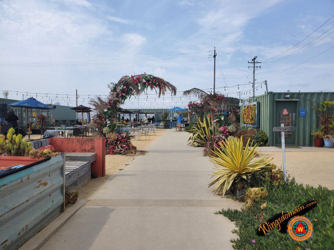 wingsdomain,san francisco,california,bay area,bayarea,treasure island,treasure,mersea,restaurant,restaurants,699,ave of the,avenue of the,ave,avenue,palm,palms,tree,trees,food,drink,drinks,bar,bars,succulent,succulents,burger,burgers,hamburger,live,music,commute,hour,relax,casual,oasis,yerba buena,island,islands,bay,leisure,fun,happy,sun,sunny,pier,piers,history,historical,historic,landmark,worlds fair,golden gate international exposition,vintage,classic,vacation,1939,1940,and,the,wing tong