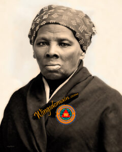 wingsdomain,harriet tubman,harriet,tubman,maryland,blm,slave,slaves,slavery,underground railroad,freedom,liberty,19th century,abolition,abolitionist,abolitionists,juneteenth,women,woman,female,womens,suffrage,humanitarian,confederates,union,army,moses,civil,war,rights,right,celebrity,famous,people,history,historical,historic,african,american,america,black,blacks,lives,matter,month,portrait,portraits,leader,twenty,dollar,bill,usa,america,colorized,color,photo,photos,photograph,and,the,wing tong