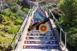 wingsdomain,san francisco,bayarea,bay area,16th avenue tiled steps,16th,avenue,163,mosaic,tile,tiled,tiles,step,steps,stair,stairs,stairway,stairways,neighborhood,neighbor,neighborhoods,neighbors,golden,gate,height,heights,golden gate heights,district,districts,grandview,grand,view,park,parks,sea,star,stars,sea to stars,sea to star,decoration,decorative,animals,fish,shells,shell,seashell,seashells,starfish,star,marine,life,cityscape,urban,bright,vibrant,color,colorful,and,the,wing tong